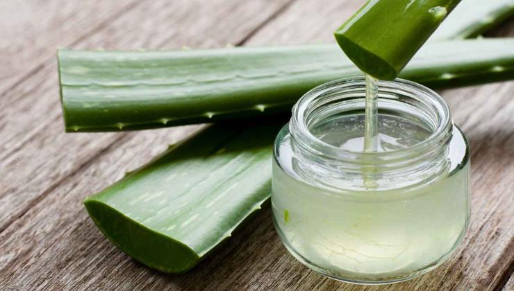 Gel aloe vera eliminare lattice giallognolo